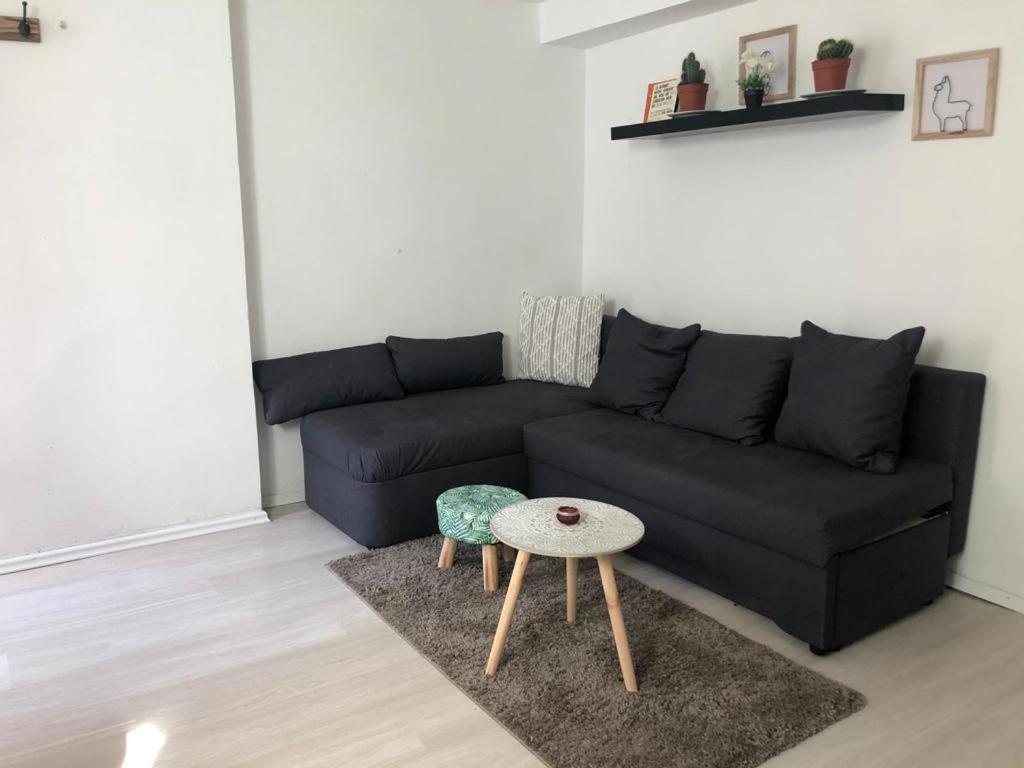 Bescheidene Untergeschoss Wohnung In Guter Lage. โคโลญ ภายนอก รูปภาพ